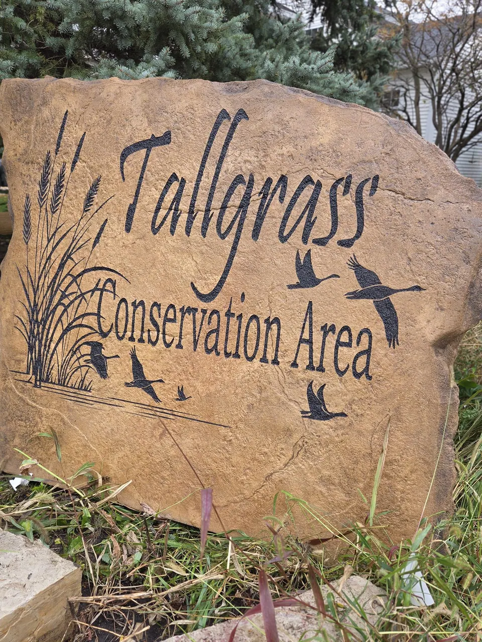 Engraved Tallgrass Conservation Area lettering and bird artwork