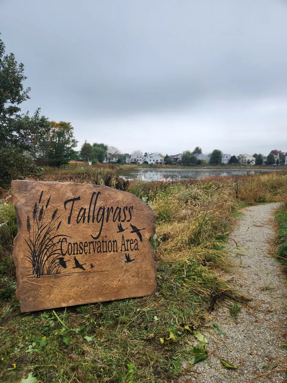 Engraved conservation area boulder beside a walking path and pond in an HOA neighborhood